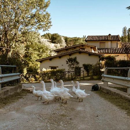 אומברטידה Agriturismo Le Radici מראה חיצוני תמונה