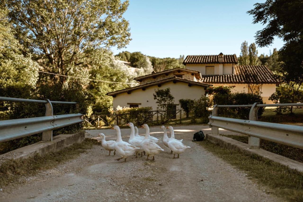 אומברטידה Agriturismo Le Radici מראה חיצוני תמונה