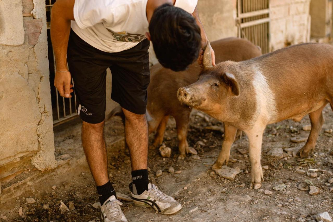 אומברטידה Agriturismo Le Radici מראה חיצוני תמונה