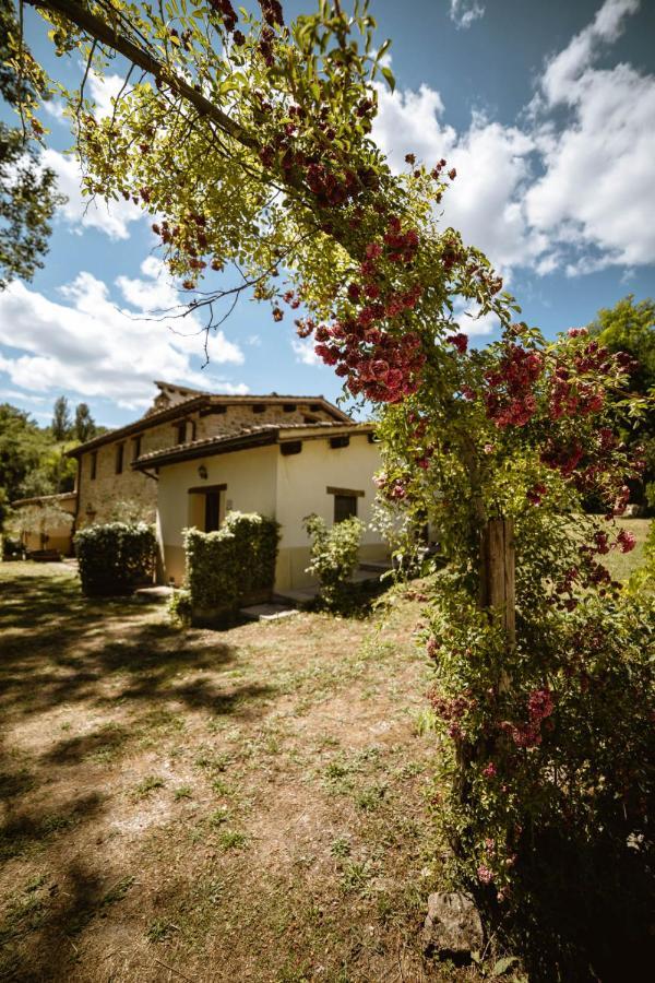 אומברטידה Agriturismo Le Radici מראה חיצוני תמונה